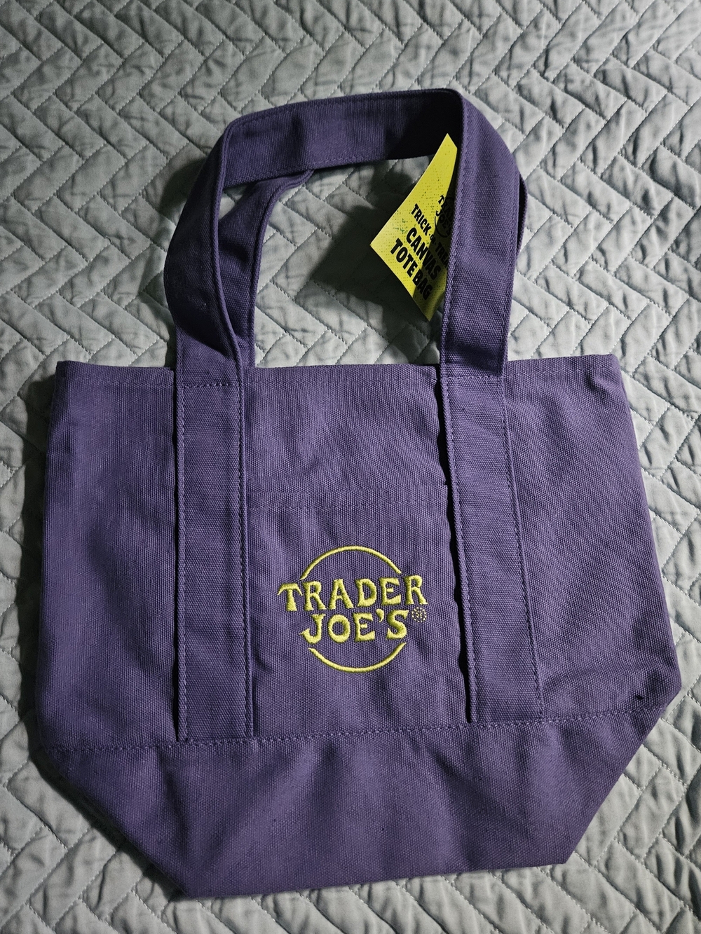 Trader Joe's Mini Tote